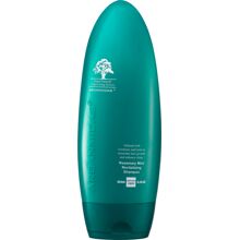 Arganmidas Rosemary Mint Revitalizing Shampoo 450 ml