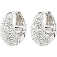 11243-6003 FOCUS Crystal Earrings